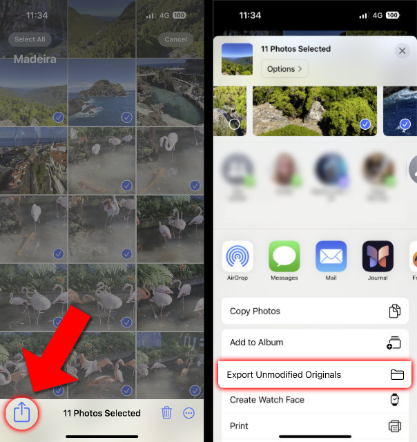 Exporting photos in the iPhone Photos app