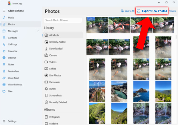 Export New Photos feature in TouchCopy