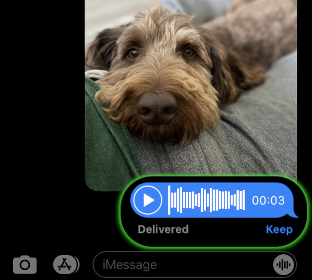 How To Save Audio Messages On IPhone Messages App