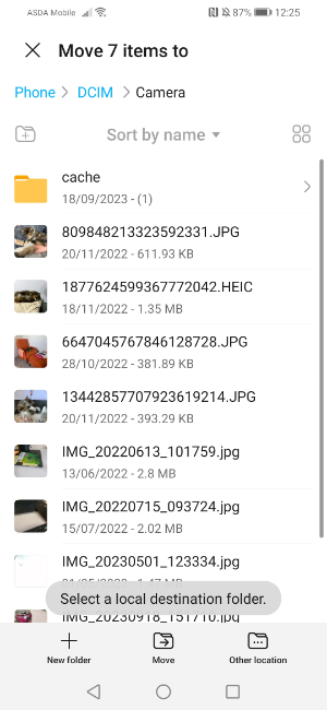 Tapping Move in Android Files app